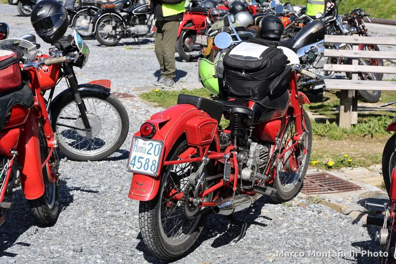 Foto dell'evento