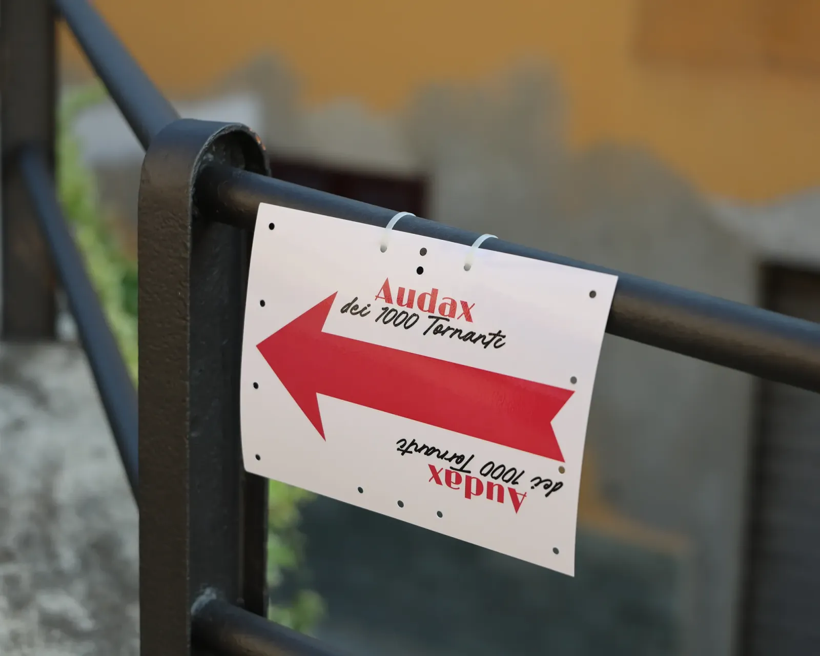 Audax